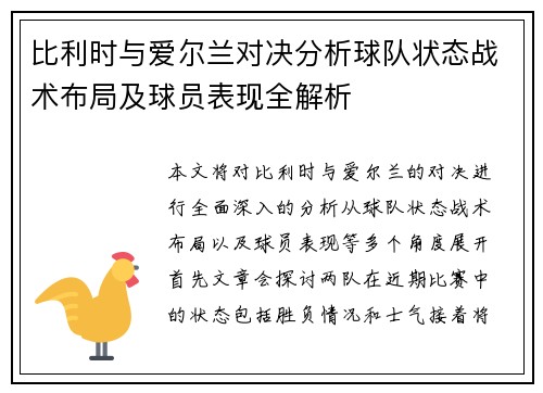比利时与爱尔兰对决分析球队状态战术布局及球员表现全解析